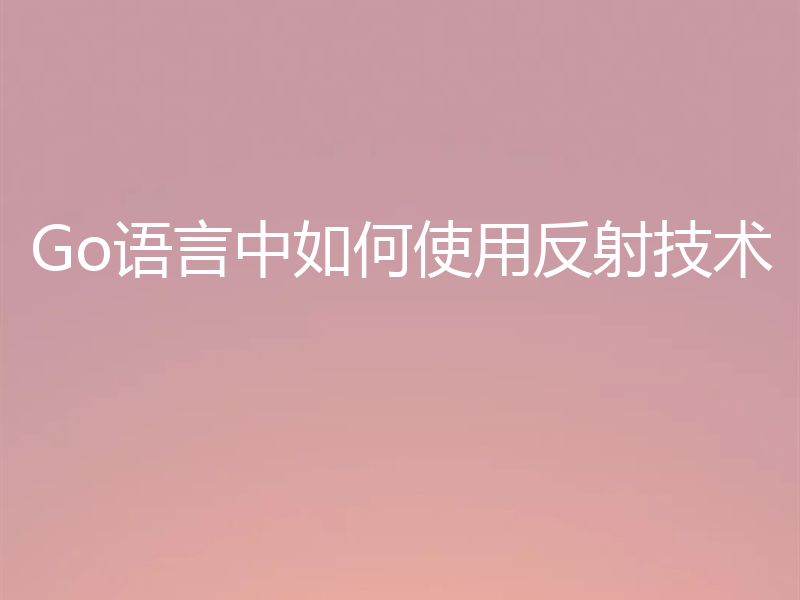Go语言中如何使用反射技术