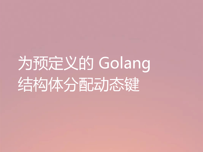 为预定义的 Golang 结构体分配动态键