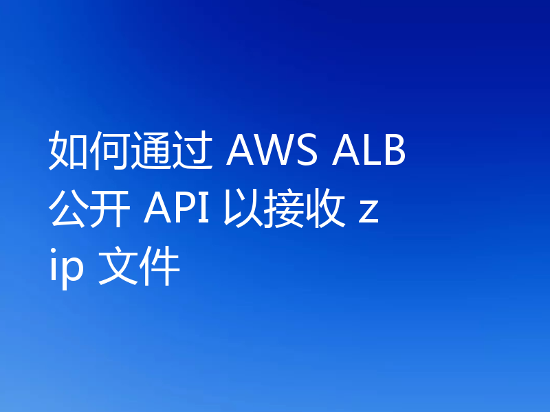 如何通过 AWS ALB 公开 API 以接收 zip 文件