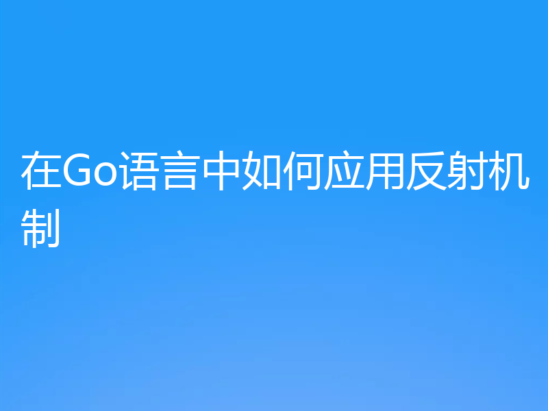 在Go语言中如何应用反射机制