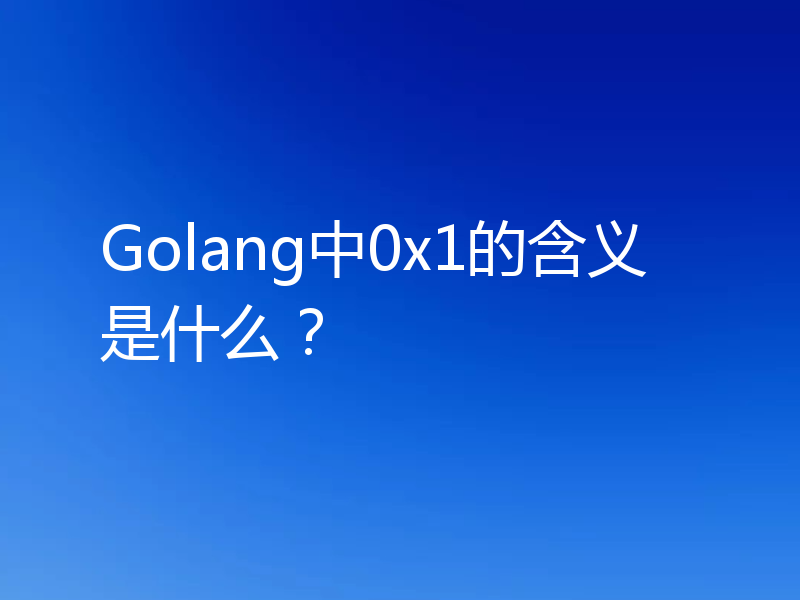 Golang中0x1的含义是什么？
