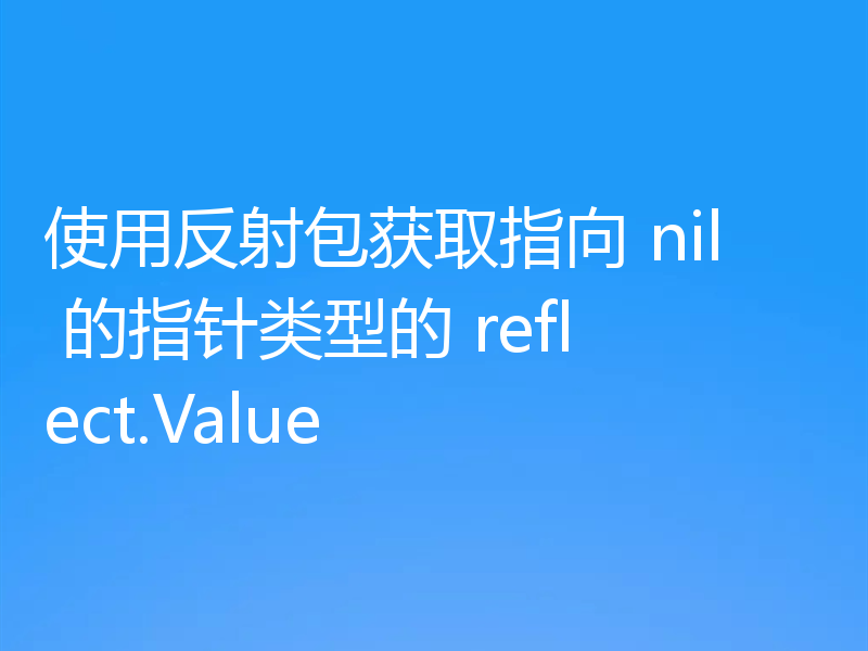 使用反射包获取指向 nil 的指针类型的 reflect.Value