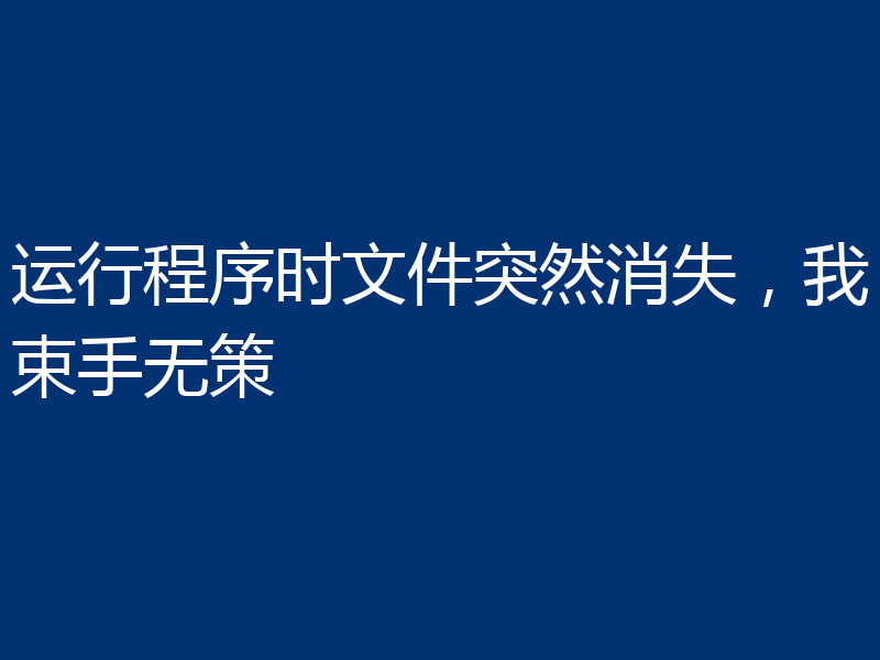 运行程序时文件突然消失，我束手无策