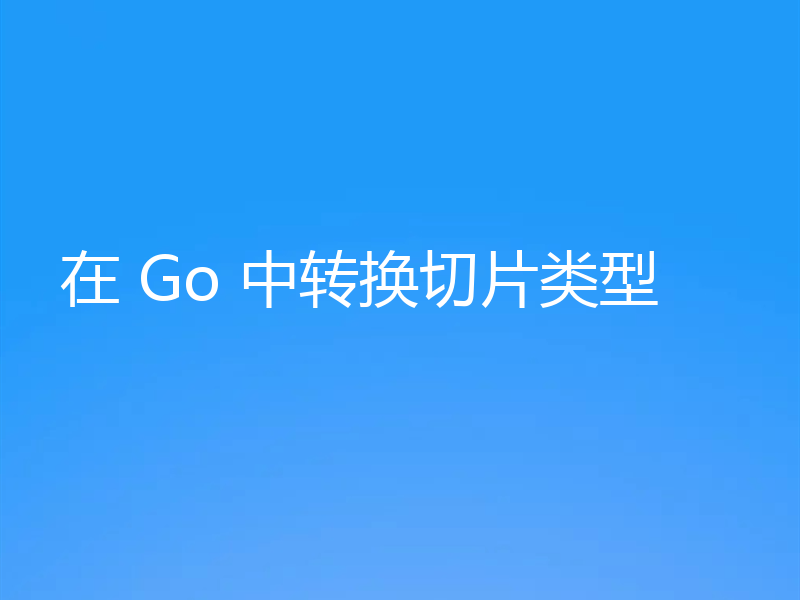 在 Go 中转换切片类型