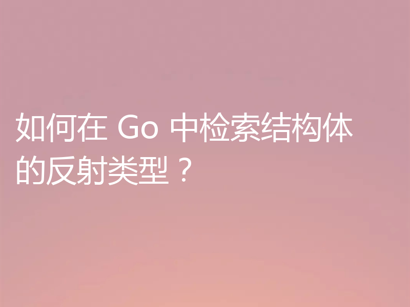 如何在 Go 中检索结构体的反射类型？