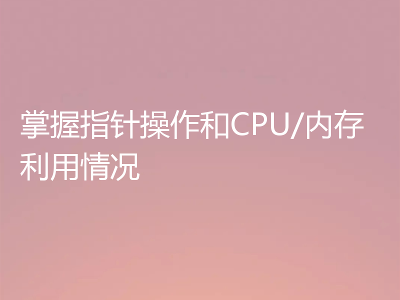 掌握指针操作和CPU/内存利用情况
