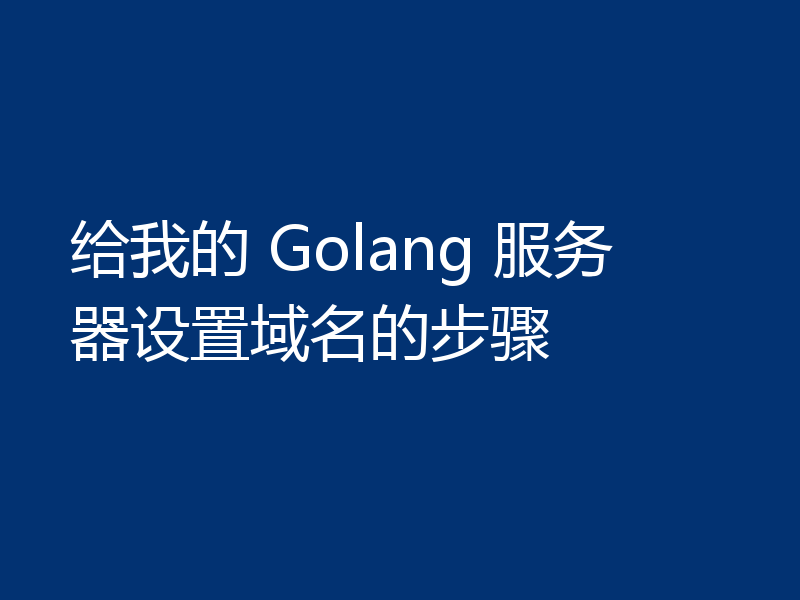 给我的 Golang 服务器设置域名的步骤