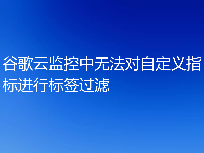 谷歌云监控中无法对自定义指标进行标签过滤