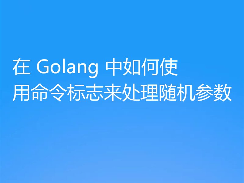 在 Golang 中如何使用命令标志来处理随机参数