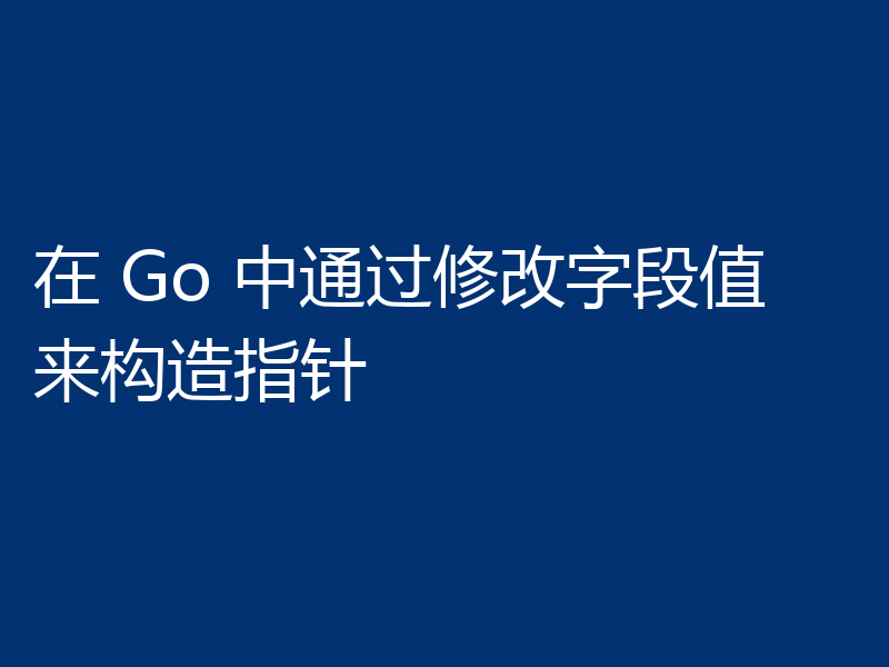 在 Go 中通过修改字段值来构造指针