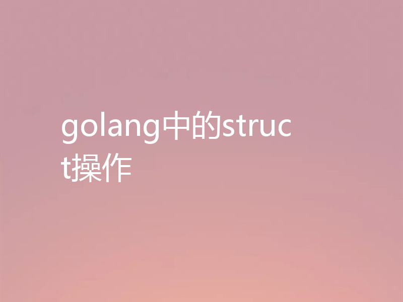 golang中的struct操作