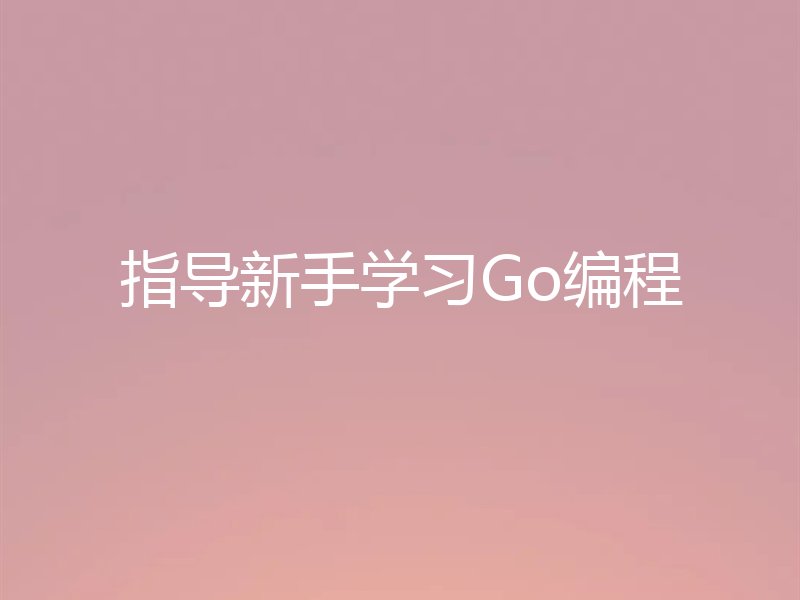 指导新手学习Go编程