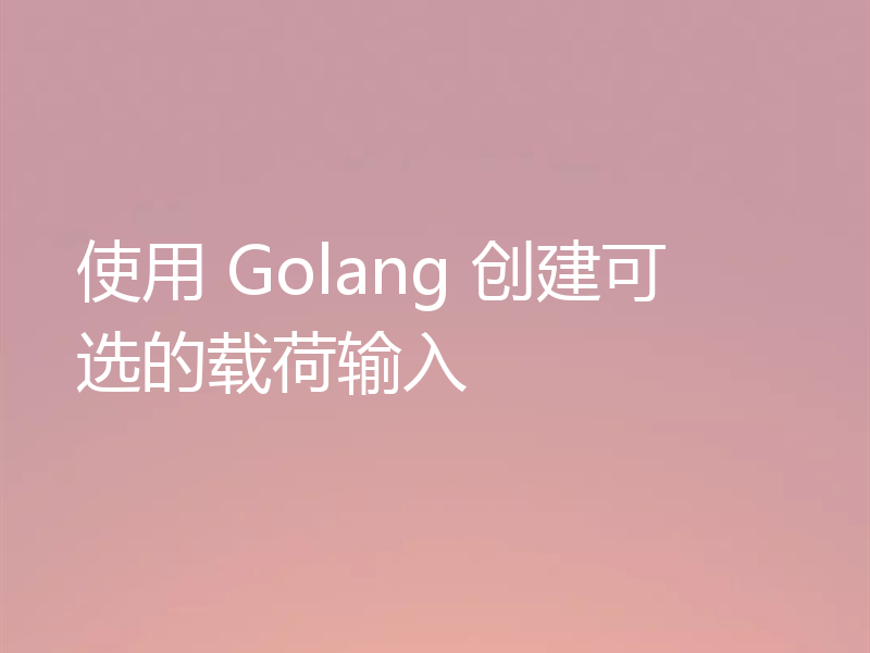 使用 Golang 创建可选的载荷输入