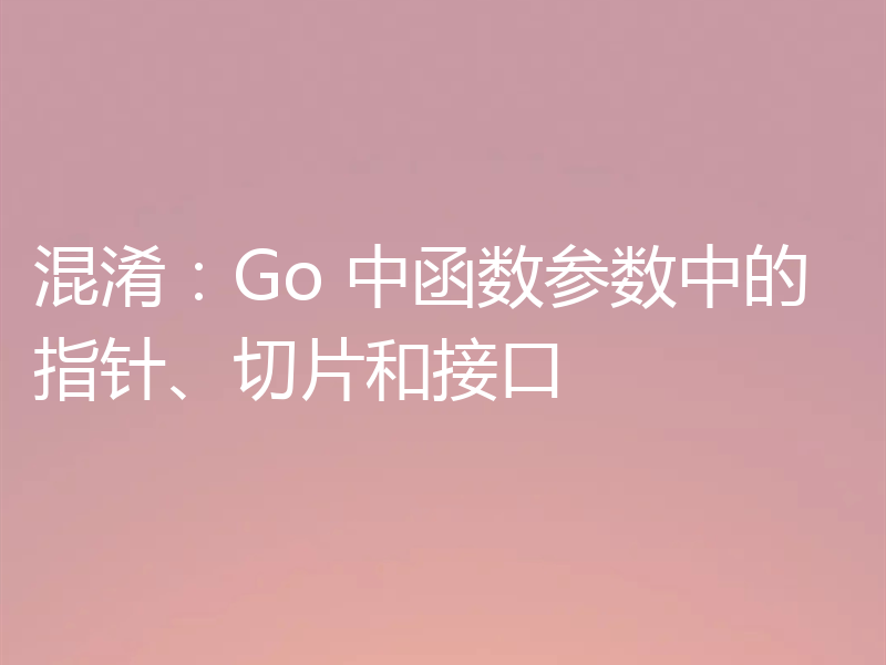 混淆：Go 中函数参数中的指针、切片和接口