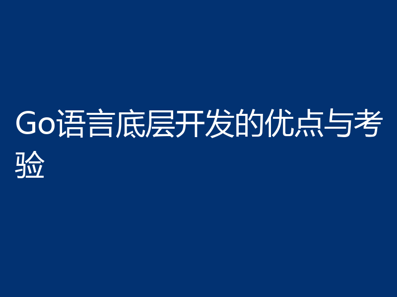 Go语言底层开发的优点与考验