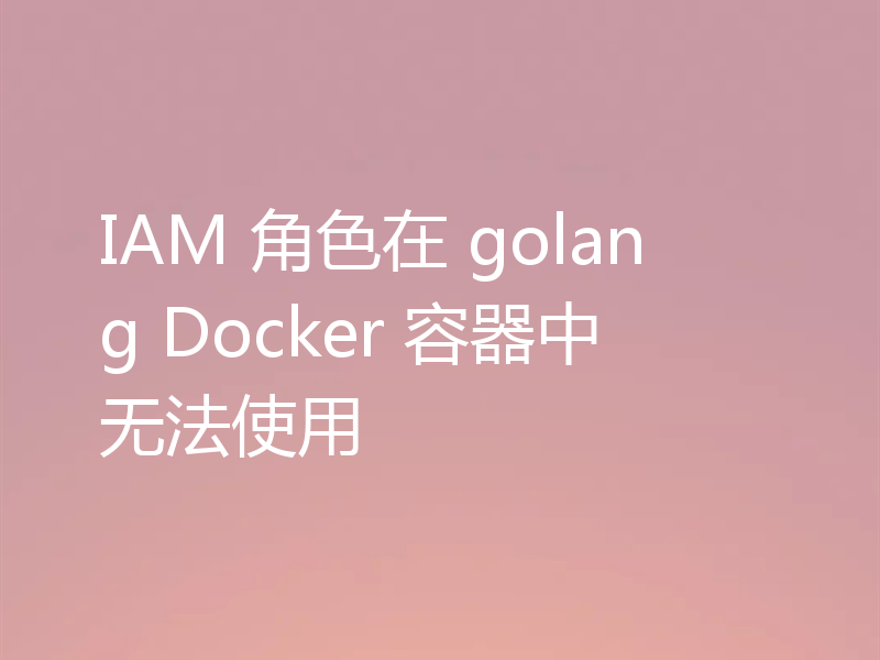IAM 角色在 golang Docker 容器中无法使用