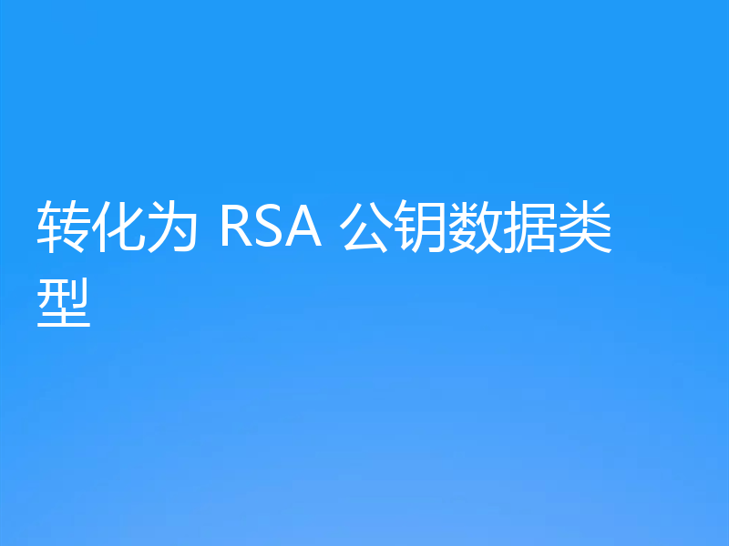 转化为 RSA 公钥数据类型