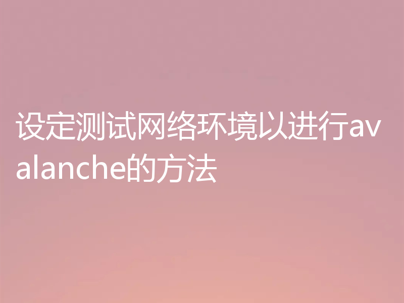 设定测试网络环境以进行avalanche的方法