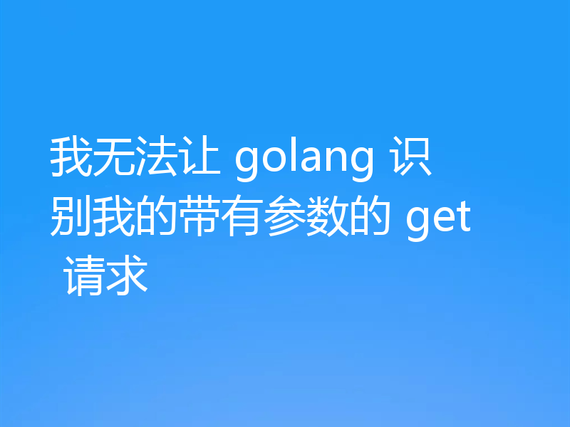 我无法让 golang 识别我的带有参数的 get 请求