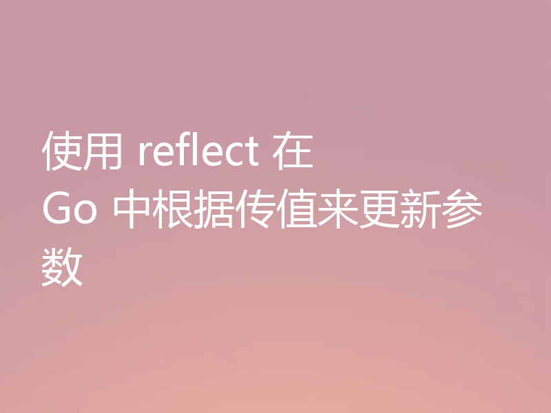 使用 reflect 在 Go 中根据传值来更新参数