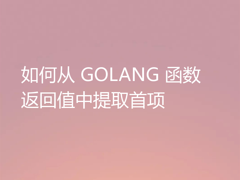 如何从 GOLANG 函数返回值中提取首项