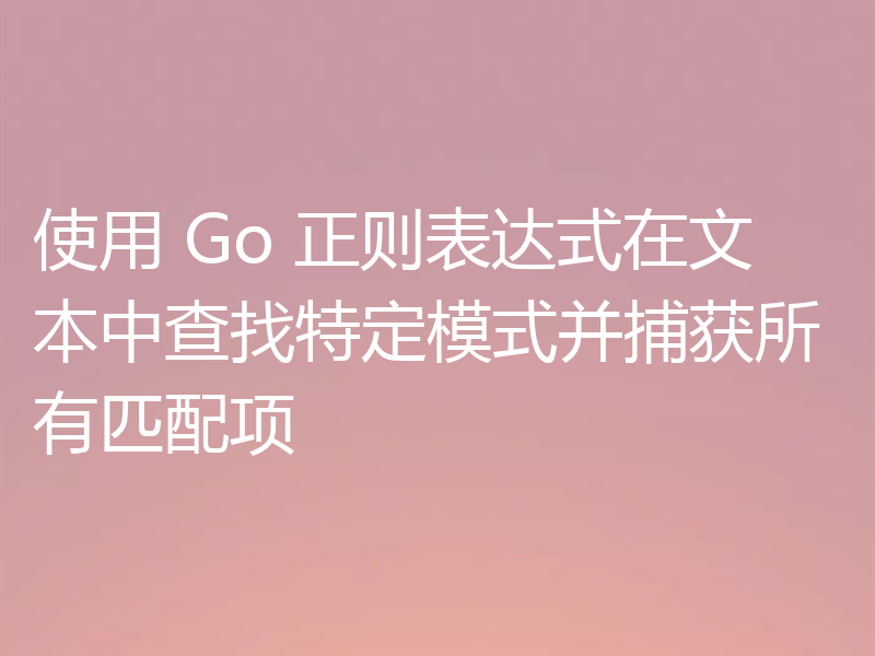 使用 Go 正则表达式在文本中查找特定模式并捕获所有匹配项