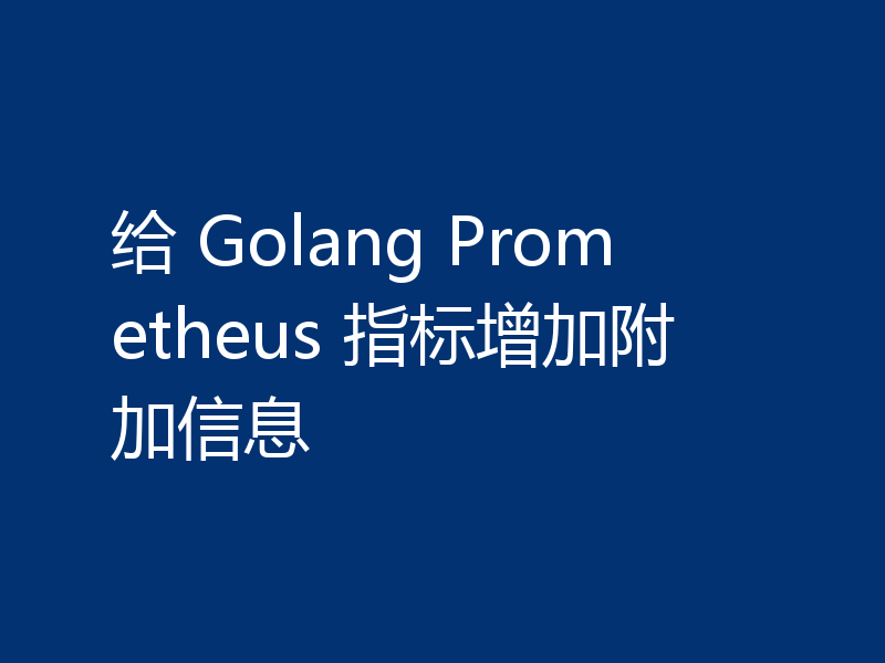 给 Golang Prometheus 指标增加附加信息
