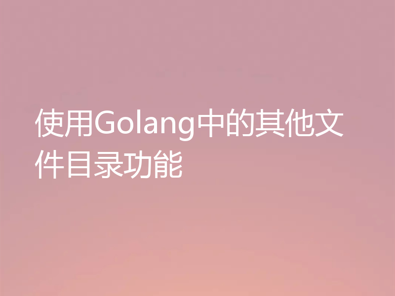 使用Golang中的其他文件目录功能