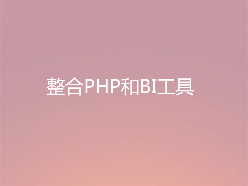 整合PHP和BI工具