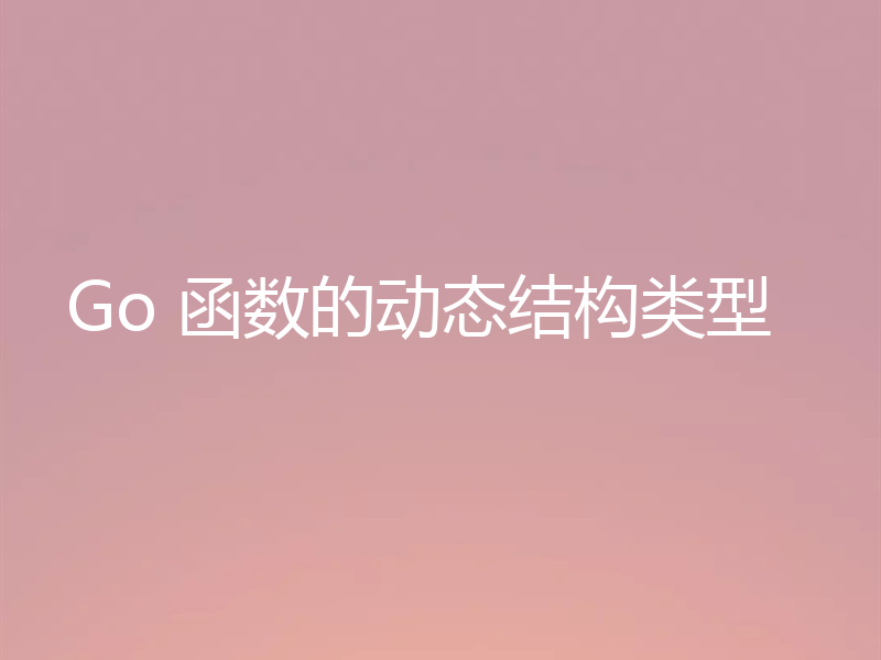 Go 函数的动态结构类型