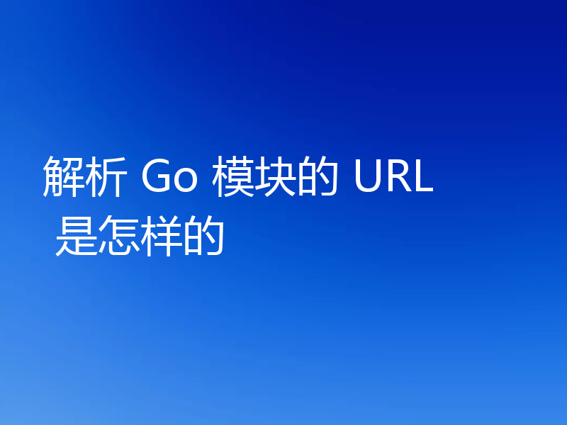 解析 Go 模块的 URL 是怎样的