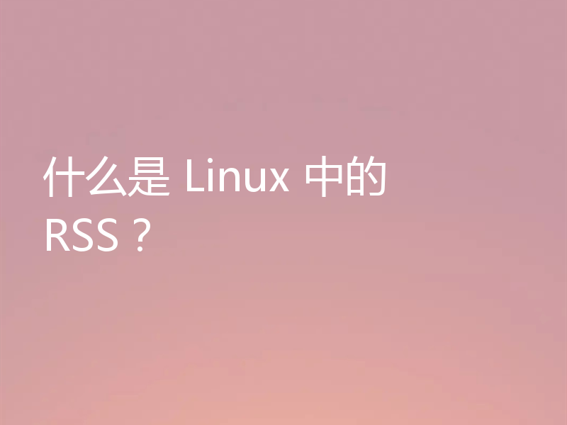 什么是 Linux 中的 RSS？
