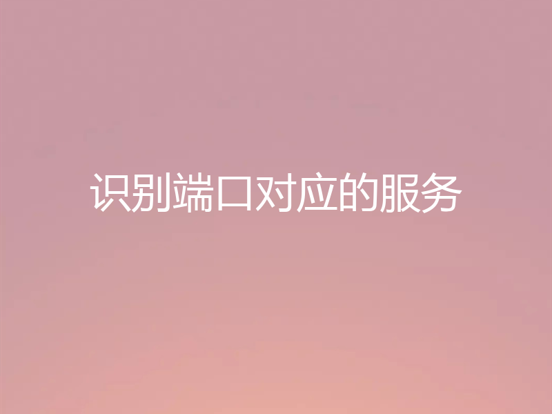 识别端口对应的服务