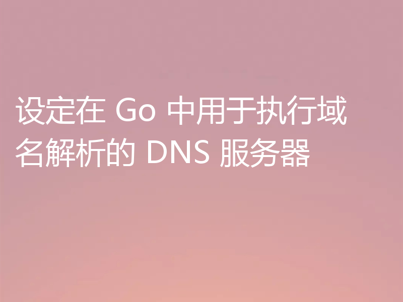 设定在 Go 中用于执行域名解析的 DNS 服务器