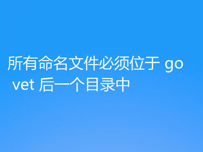 所有命名文件必须位于 go vet 后一个目录中