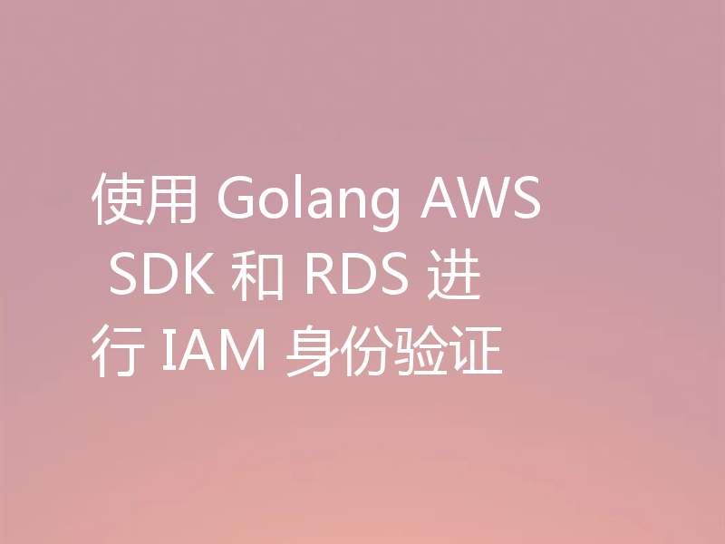 使用 Golang AWS SDK 和 RDS 进行 IAM 身份验证
