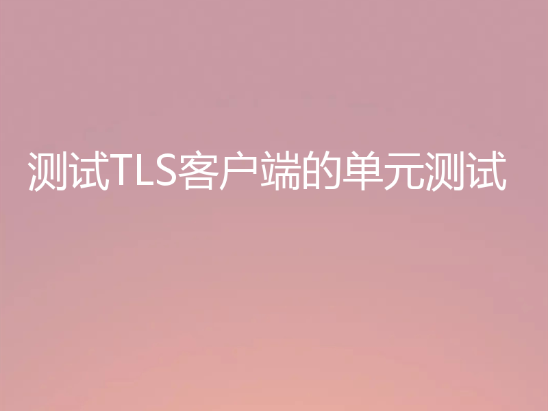 测试TLS客户端的单元测试