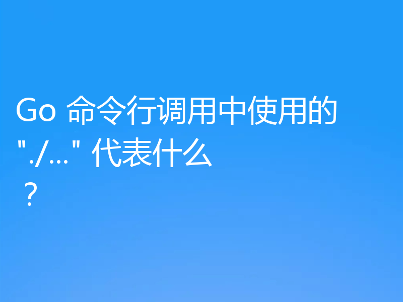 Go 命令行调用中使用的 