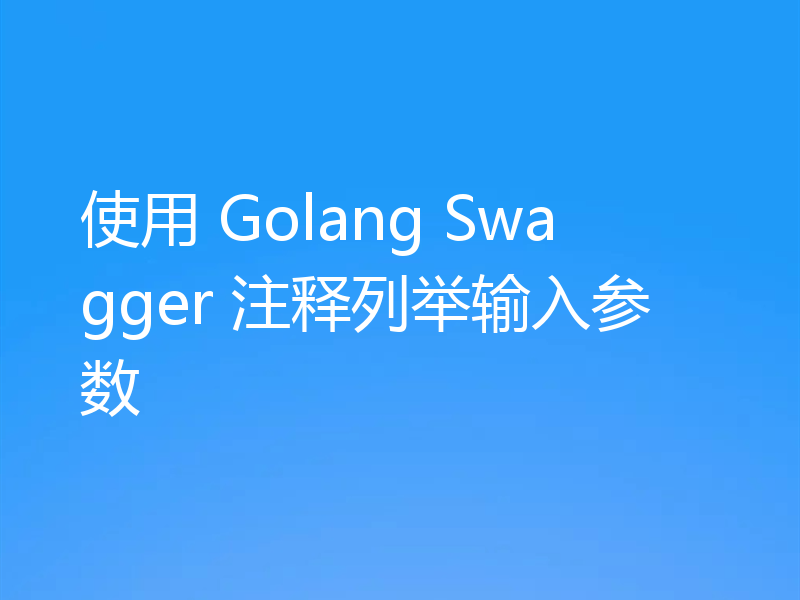 使用 Golang Swagger 注释列举输入参数