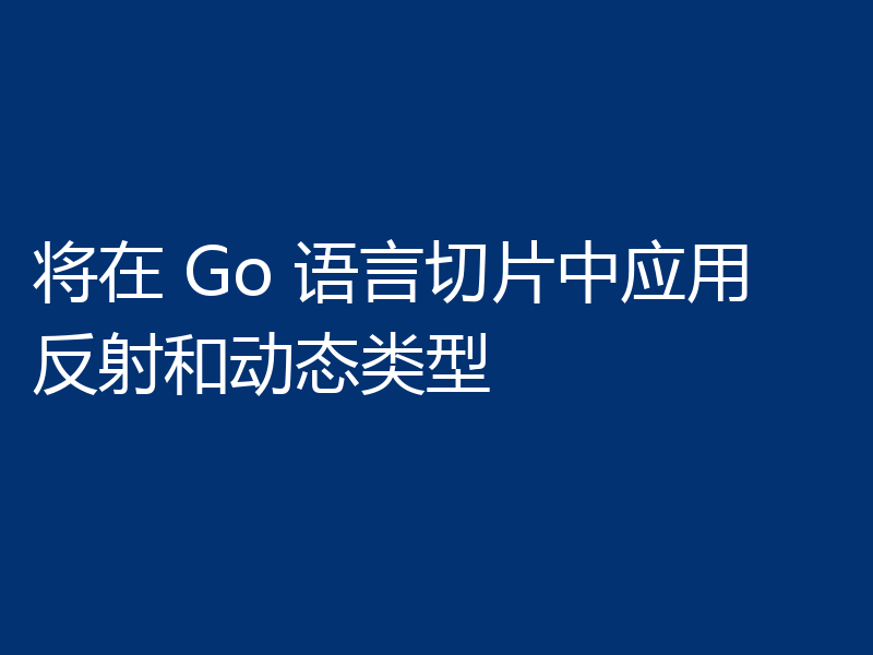 将在 Go 语言切片中应用反射和动态类型