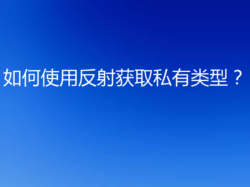 如何使用反射获取私有类型？