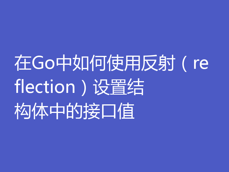 在Go中如何使用反射（reflection）设置结构体中的接口值