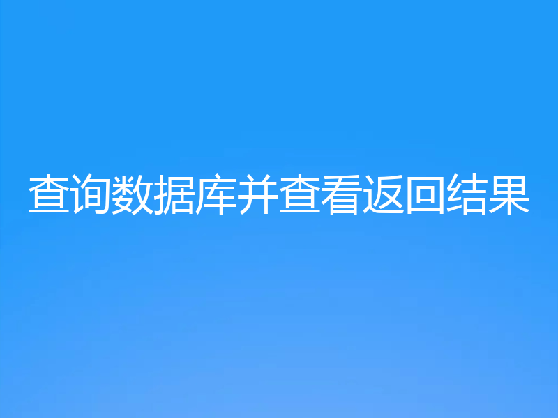 查询数据库并查看返回结果