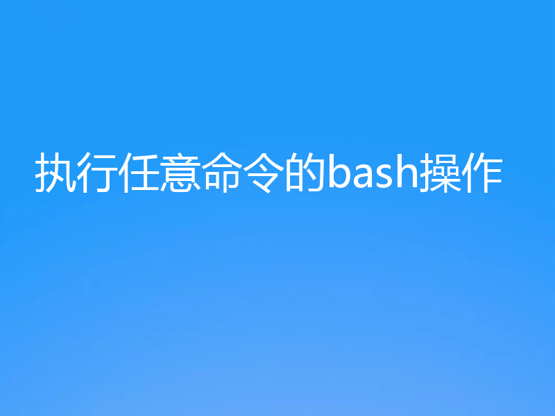 执行任意命令的bash操作