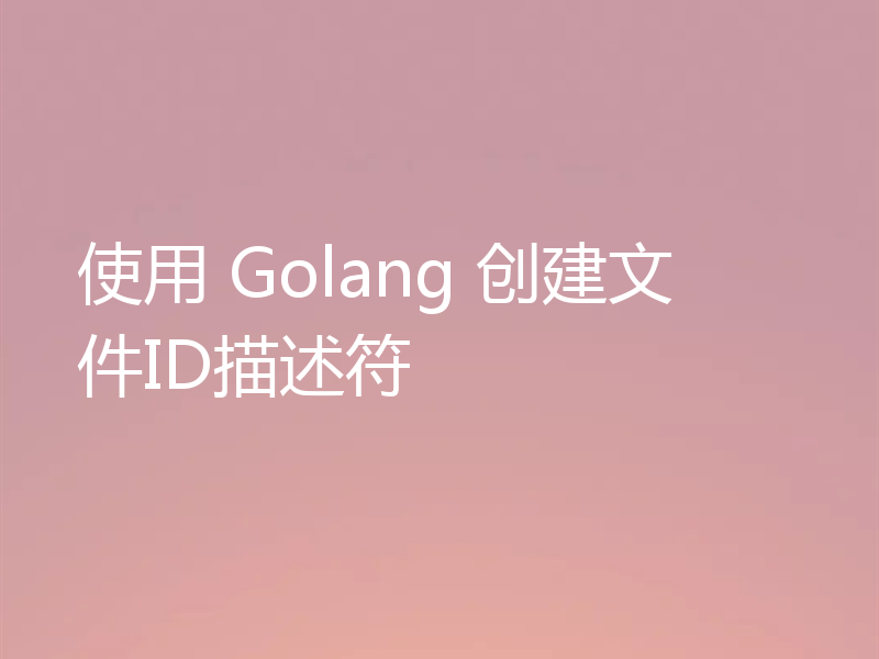 使用 Golang 创建文件ID描述符