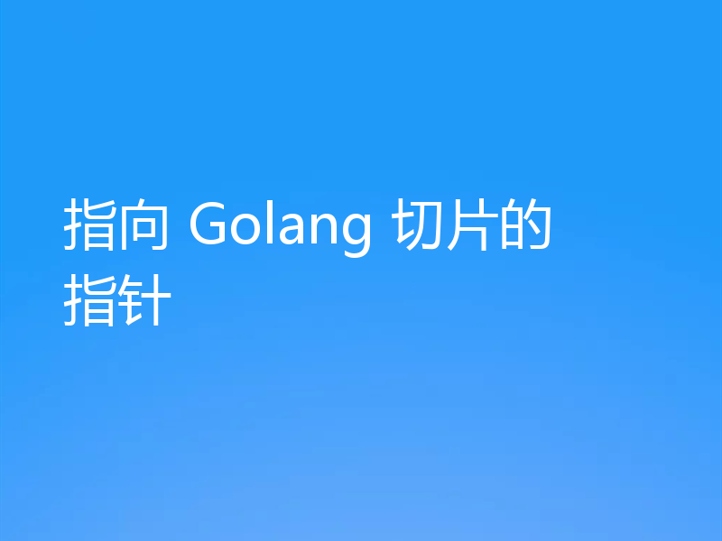 指向 Golang 切片的指针