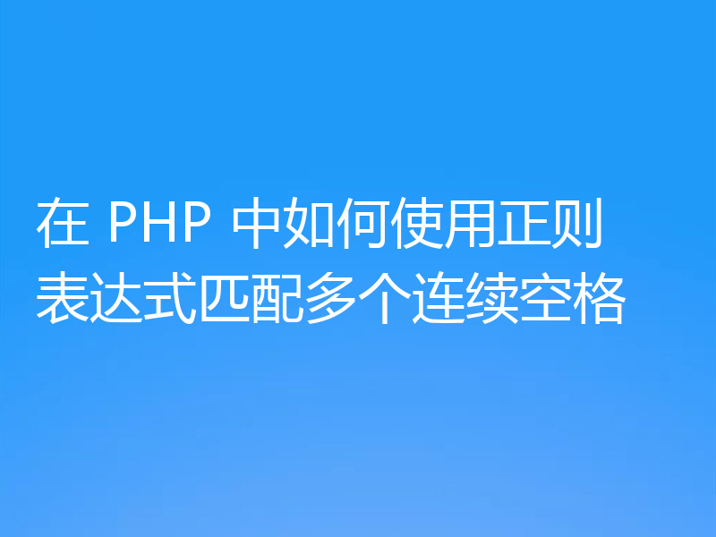 在 PHP 中如何使用正则表达式匹配多个连续空格