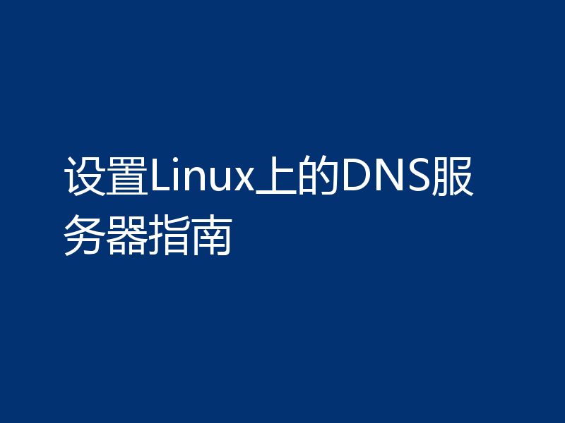 设置Linux上的DNS服务器指南