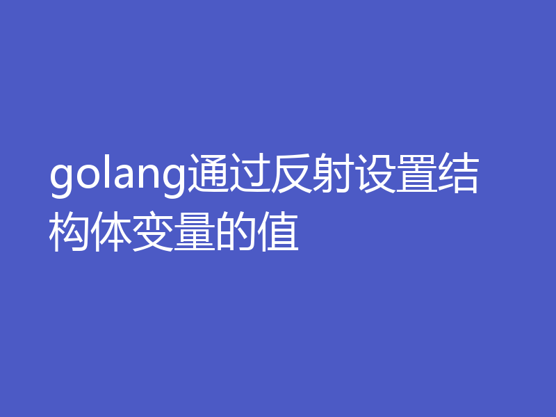golang通过反射设置结构体变量的值