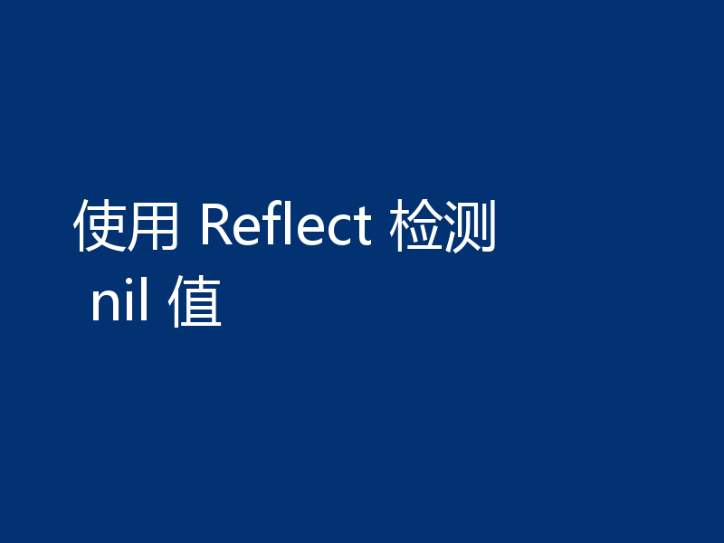 使用 Reflect 检测 nil 值